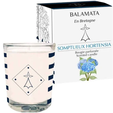 Bougie Parfumée Florale Somptueux Hortensia - BALAMATA