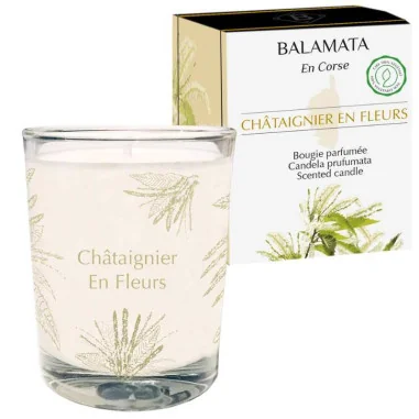 Bougie Parfum Châtaigne en Fleurs & Bois de Santal - BALAMATA