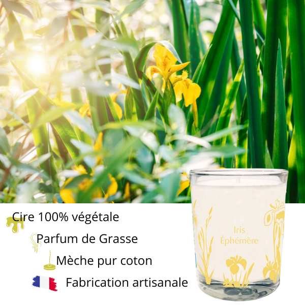 Bougie Iris Poudrée Florale BALAMATA