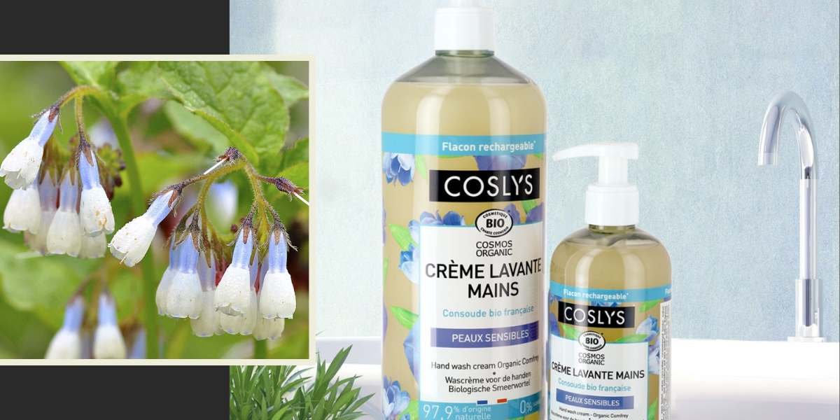 Cr&egrave;me Lavante Mains Consoude Bio Coslys